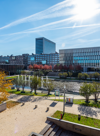 Incoming Exchange Rotterdam School Of Management Erasmus University